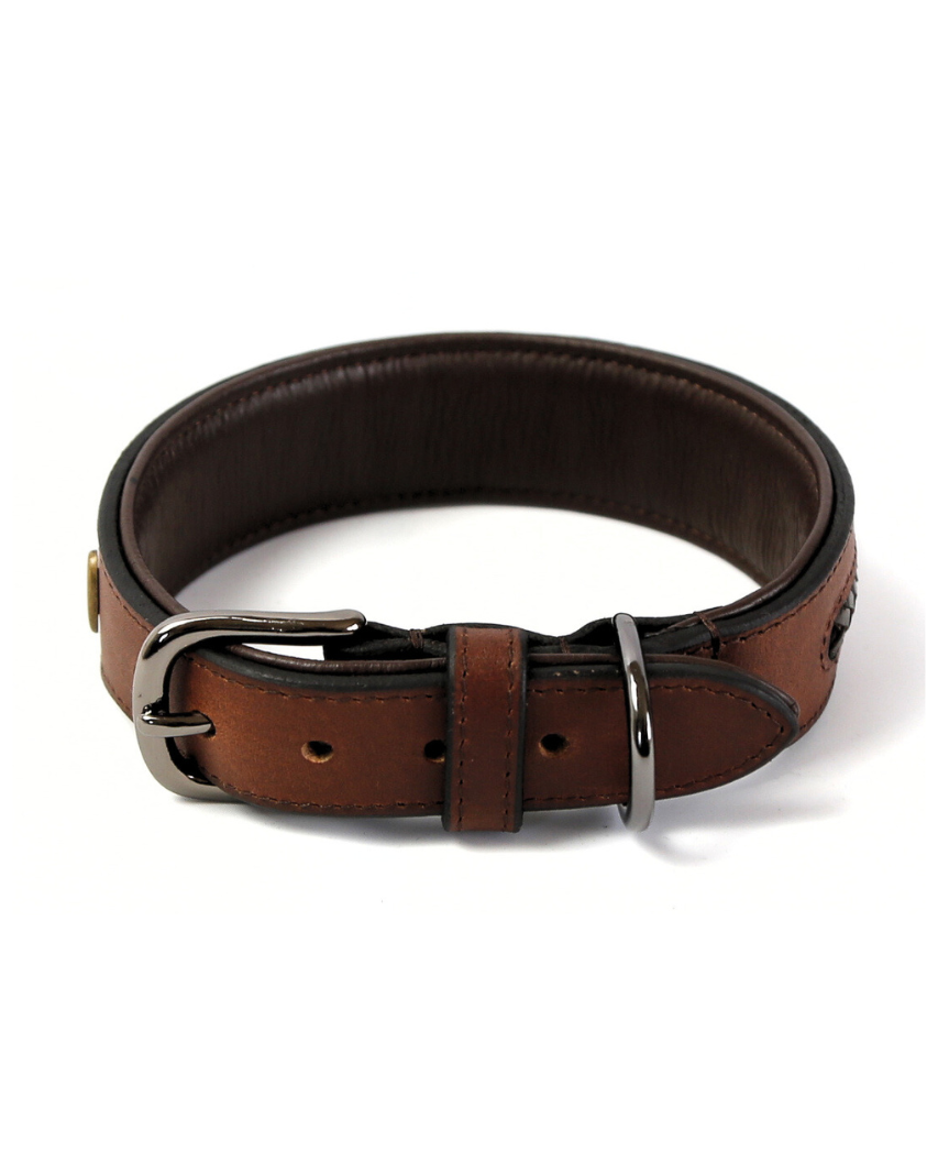 Halsband Kaya – Bild 8